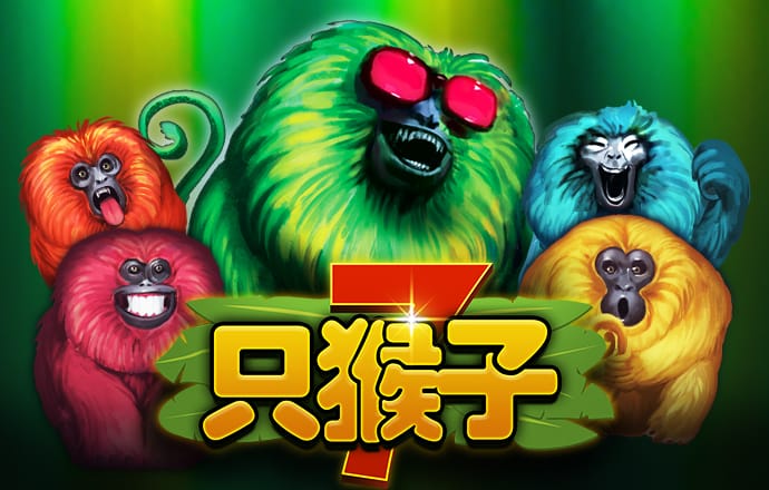 足球波胆app网站